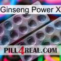 Ginseng Power X 31